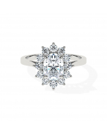 Oval Aquilegia Cluster