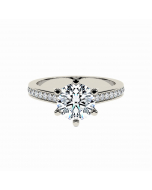 Round 6-Claw Cathedral Channel Set