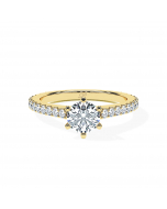 Round 6-Claw Cathedral Pavé