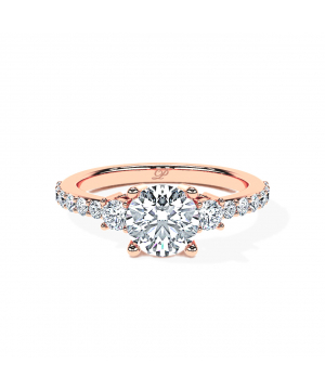 Round Constellation Trilogy