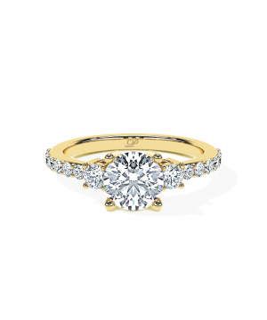 Round Constellation Trilogy