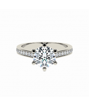 Round 6-Claw Cathedral Channel Set