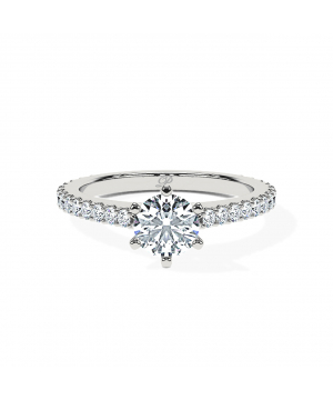 Round 6-Claw Cathedral Pavé